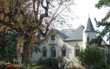 Le Centre Hospitalier de Sainte Foy-lès-Lyon à travers le temps