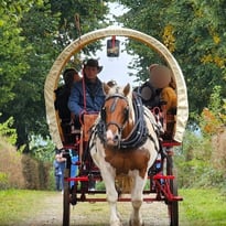 Tour du Parc Melchior en calèche