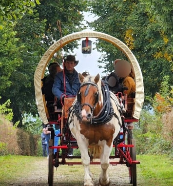 Tour du Parc Melchior en calèche