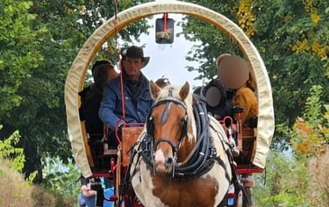 Tour du Parc Melchior en calèche
