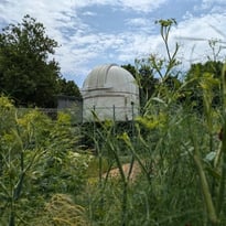 Jardin vivant – Biodiversité