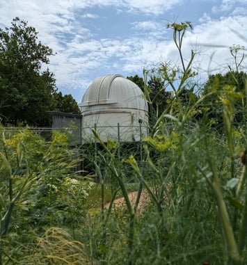 Jardin vivant – Biodiversité