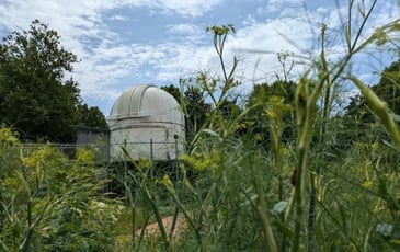 Jardin vivant – Biodiversité