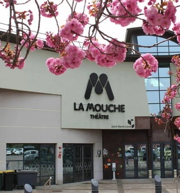 À la découverte du théâtre La Mouche : rencontres, ateliers, spectacles...