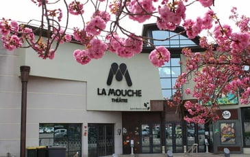 À la découverte du théâtre La Mouche : rencontres, ateliers, spectacles...