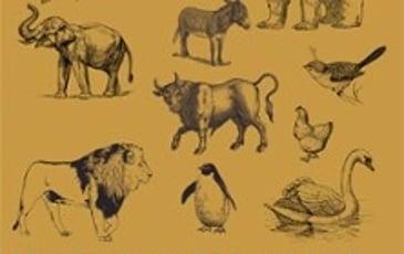 Le Carnaval des Animaux