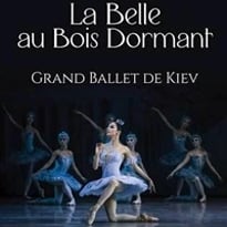 La belle au bois dormant