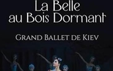 La belle au bois dormant