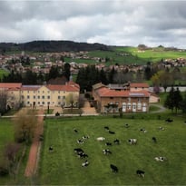 Trésors cachés