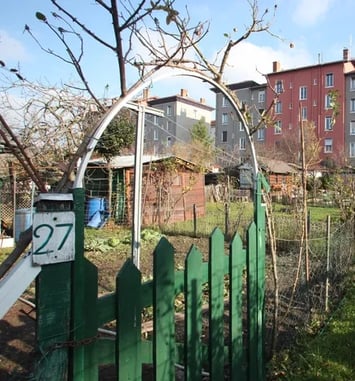 Balade urbaine, à la découverte de l'histoire des espaces verts de Villeurbanne