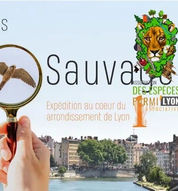 Balade biodiversité avec "Des Espèces Parmi'Lyon"