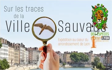 Balade biodiversité avec "Des Espèces Parmi'Lyon"