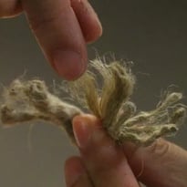 Fibres de bâtisseurs