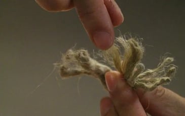 Fibres de bâtisseurs