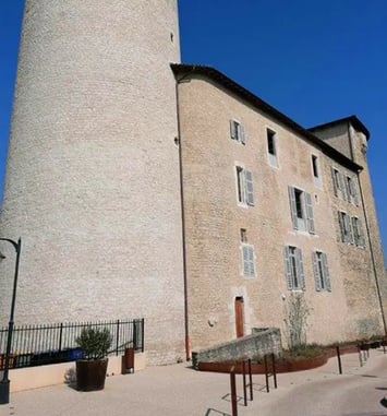 Visites guidées au château des Tours