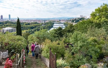Visite guidée les Jardins Municipaux Ouvriers