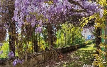 Visite guidée de la Sablière