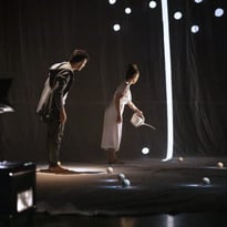 Luis Sartori do Vale - Mira Ravald - Compagnie Portmanteau  [FINLANDE]