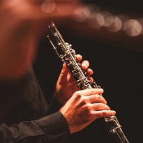 Brahms et Zemlinsky