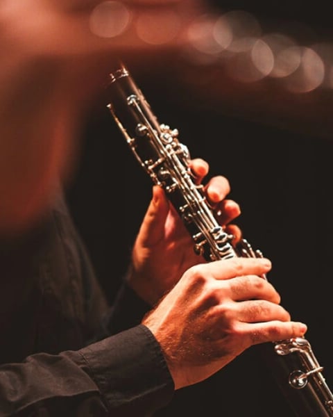Brahms et Zemlinsky