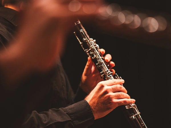 Brahms et Zemlinsky