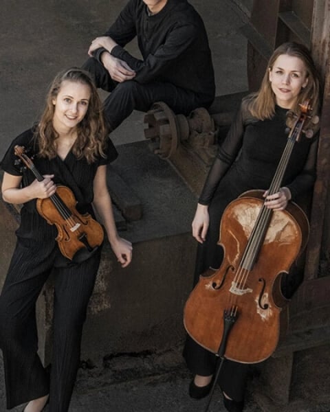 Trio Amelio