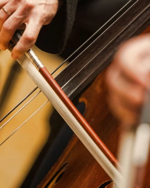Quintette avec contrebasse