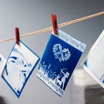 Lumières révélées (cyanotype)
