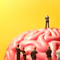 L'art d'avoir toujours raison