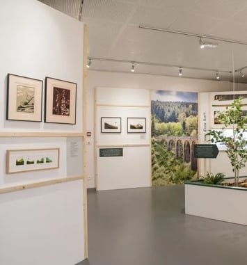 Visite de l'exposition « Impressions beaujolaises »