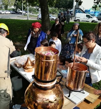 Distillation des rosiers de Damas