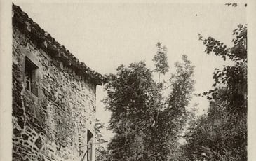 Rétrospective de la photographie