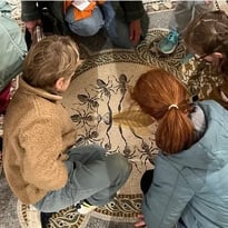 Les animaux de la basilique et leurs secrets