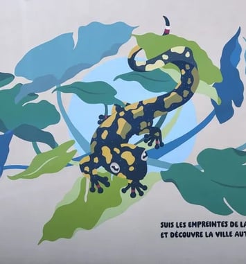 Balade urbaine "Parcours de la Salamandre"