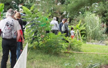 Randonnée le long du ruisseau de la Mouche