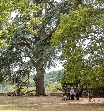 Jeu de piste : À la découverte du géant de Beauregard