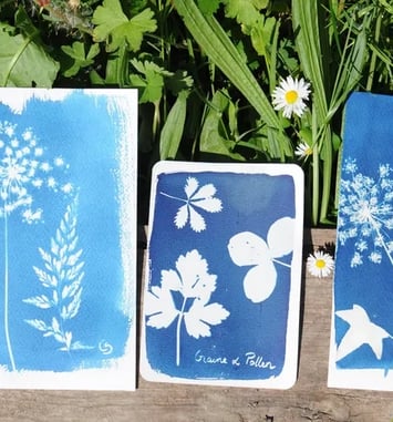 Atelier cyanotype