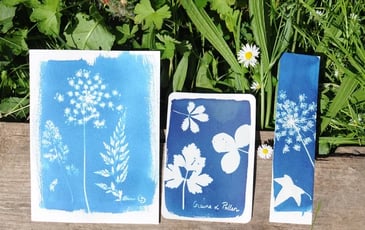 Atelier cyanotype