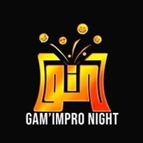 Soirée G.I.N, Gam'Impro Night