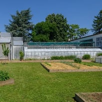 Visite guidée des serres et réalisation d'une coupe de plantes d'intérieur