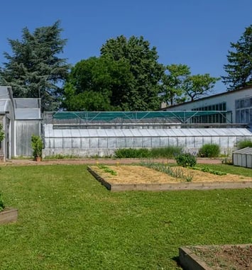Visite guidée des serres et réalisation d'une coupe de plantes d'intérieur