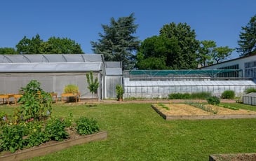 Visite guidée des serres et réalisation d'une coupe de plantes d'intérieur