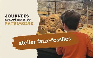 Atelier Faux-Fossiles
