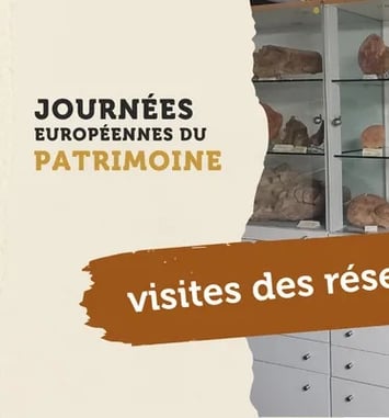 Visite des réserves de Fossilea
