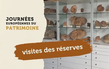 Visite des réserves de Fossilea