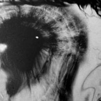 La Bibliothèque célèbre le Bicentenaire de la Photographie