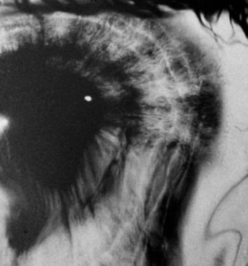 La Bibliothèque célèbre le Bicentenaire de la Photographie