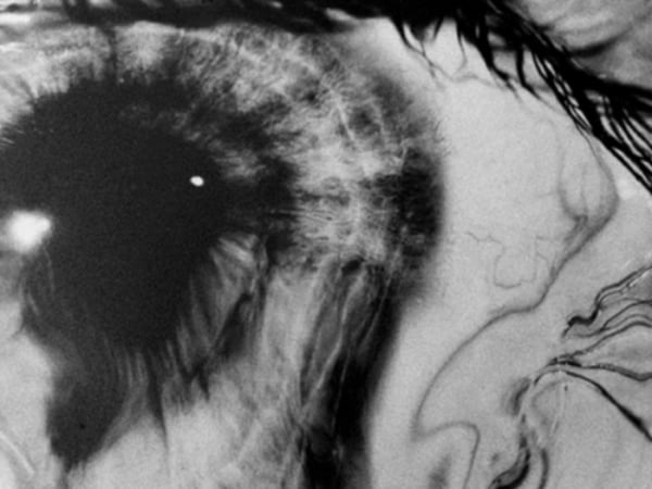 La Bibliothèque célèbre le Bicentenaire de la Photographie
