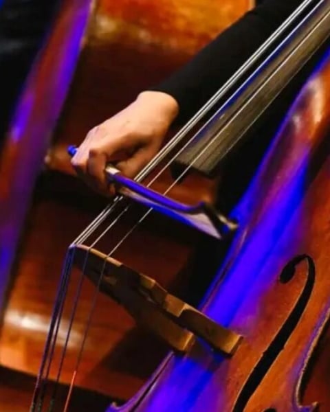 Autour d'Edvard Grieg