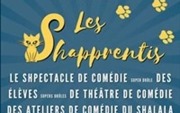 Les Shapprentis du lundi